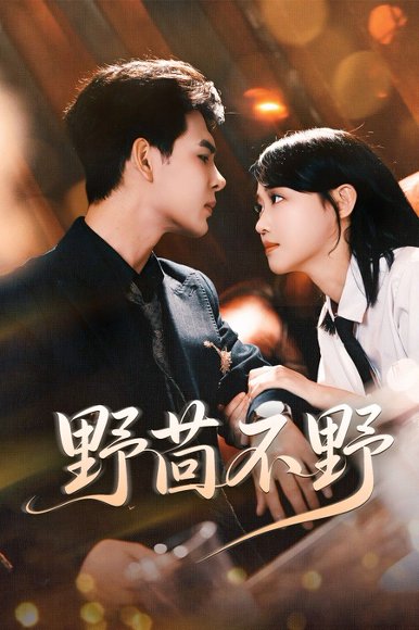 野茴不野（67集）靳旺＆龚芳妮 高清完整版