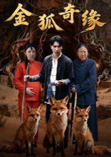 金狐奇缘（42集）李图图&张旭 高清完整版