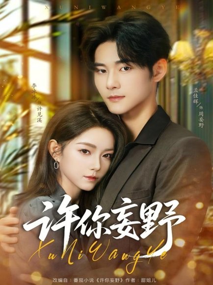 许你妄野（80集）孟佳辉＆李冰冰 高清完整版