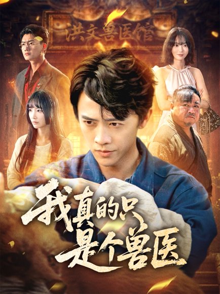 我真的只是个兽医（64集）赵菲＆陈外 高清完整版