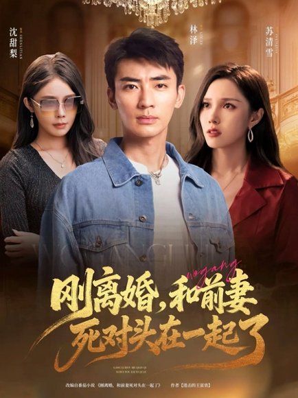 刚离婚，和前妻死对头在一起&刚离婚和前妻死对头在一起 (73集) 高清完整版