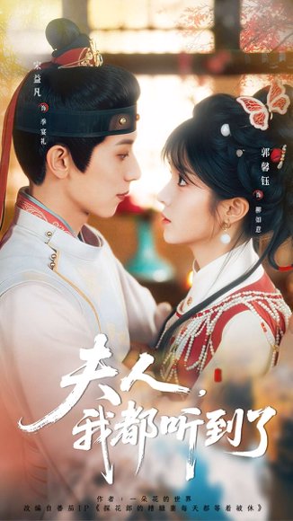 夫人，我都听到了（100集）宋益凡＆郭馨钰 高清完整版