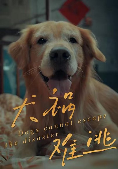 犬祸难逃（33集）刘丹＆青哥 高清完整版