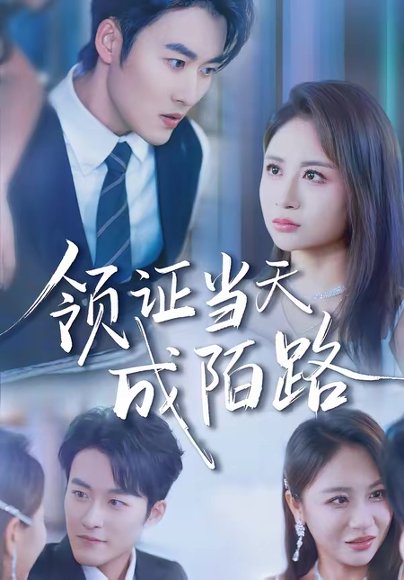 领证当天成陌路（39集）姜博龙＆李佳乐 高清完整版