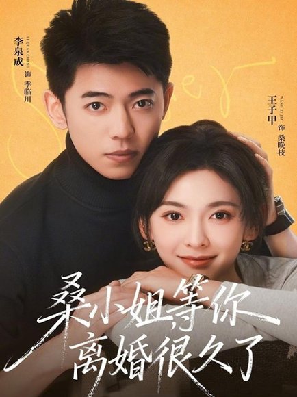 桑小姐，等你离婚很久了（70集）李泉成＆王子甲 高清完整版