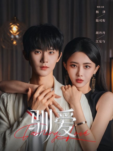 驯爱（80集）杨泽＆胡丹丹 高清完整版